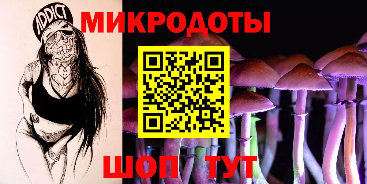 хочу   Галлюциногенные грибы Cubensis  Вход с VPN  Гатчина 