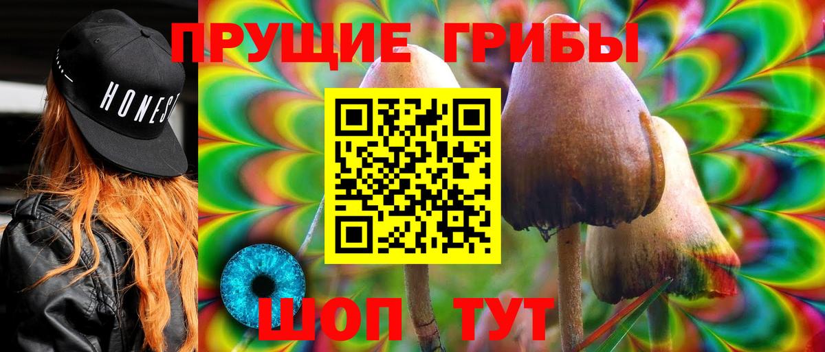 Галлюциногенные грибы Psilocybe Гатчина